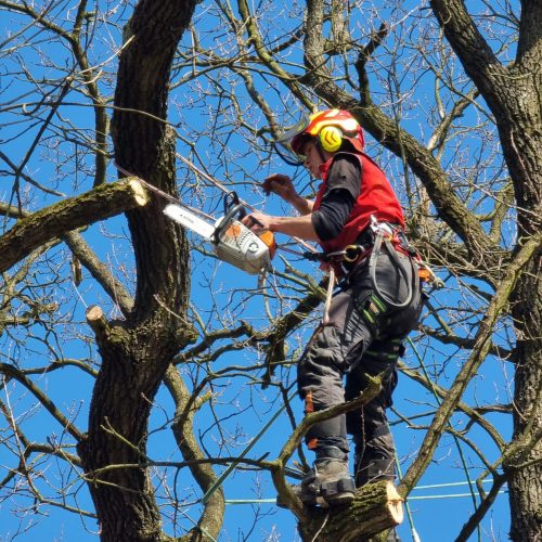 20210330_103024 - kopie